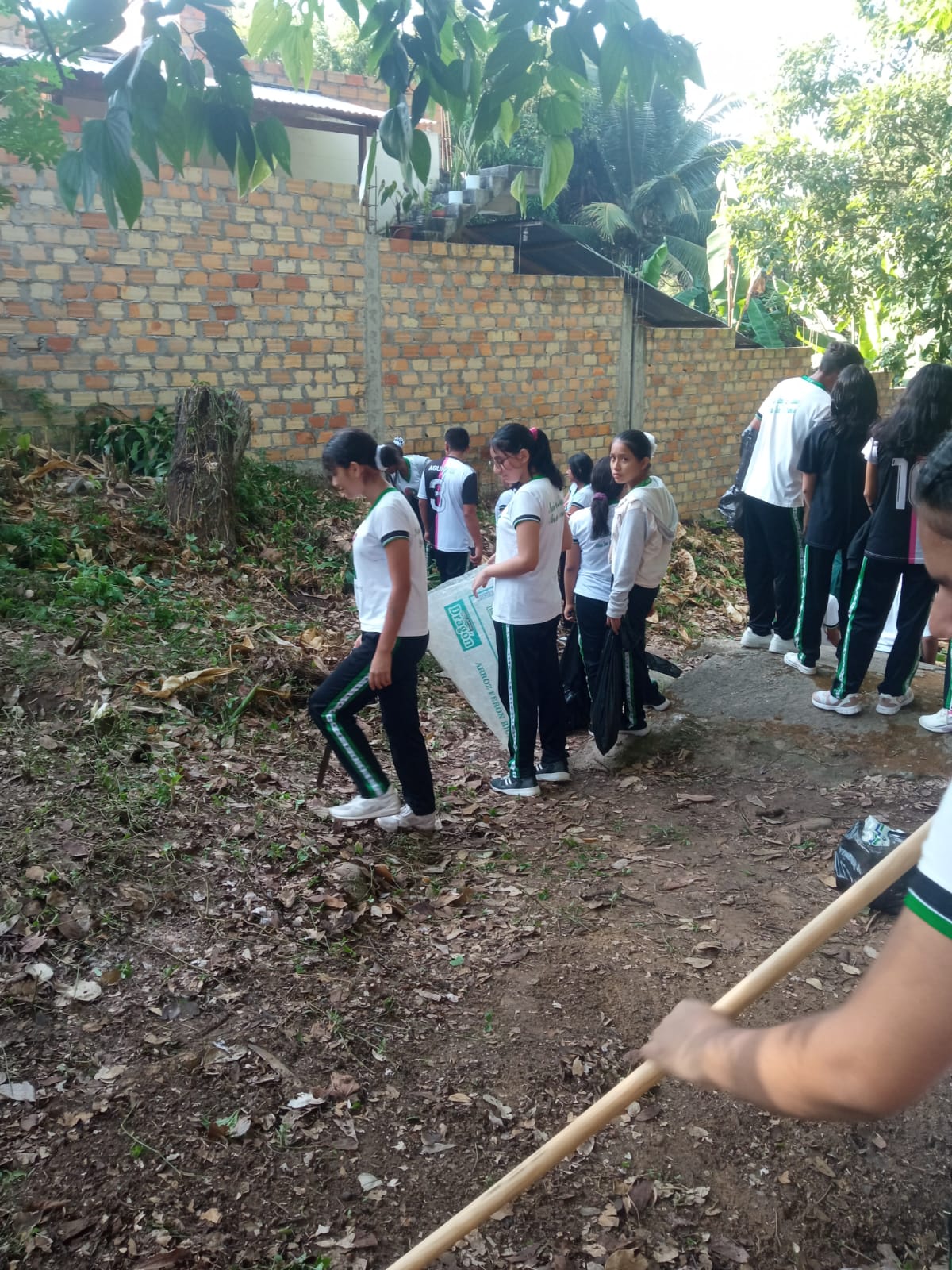 LA MUNICIPALIDAD DE MORALES, JUNTO CON ESTUDIANTES, LIDERA EXITOSA CAMPAÑA DE LIMPIEZA EN SACHA PUQUIO