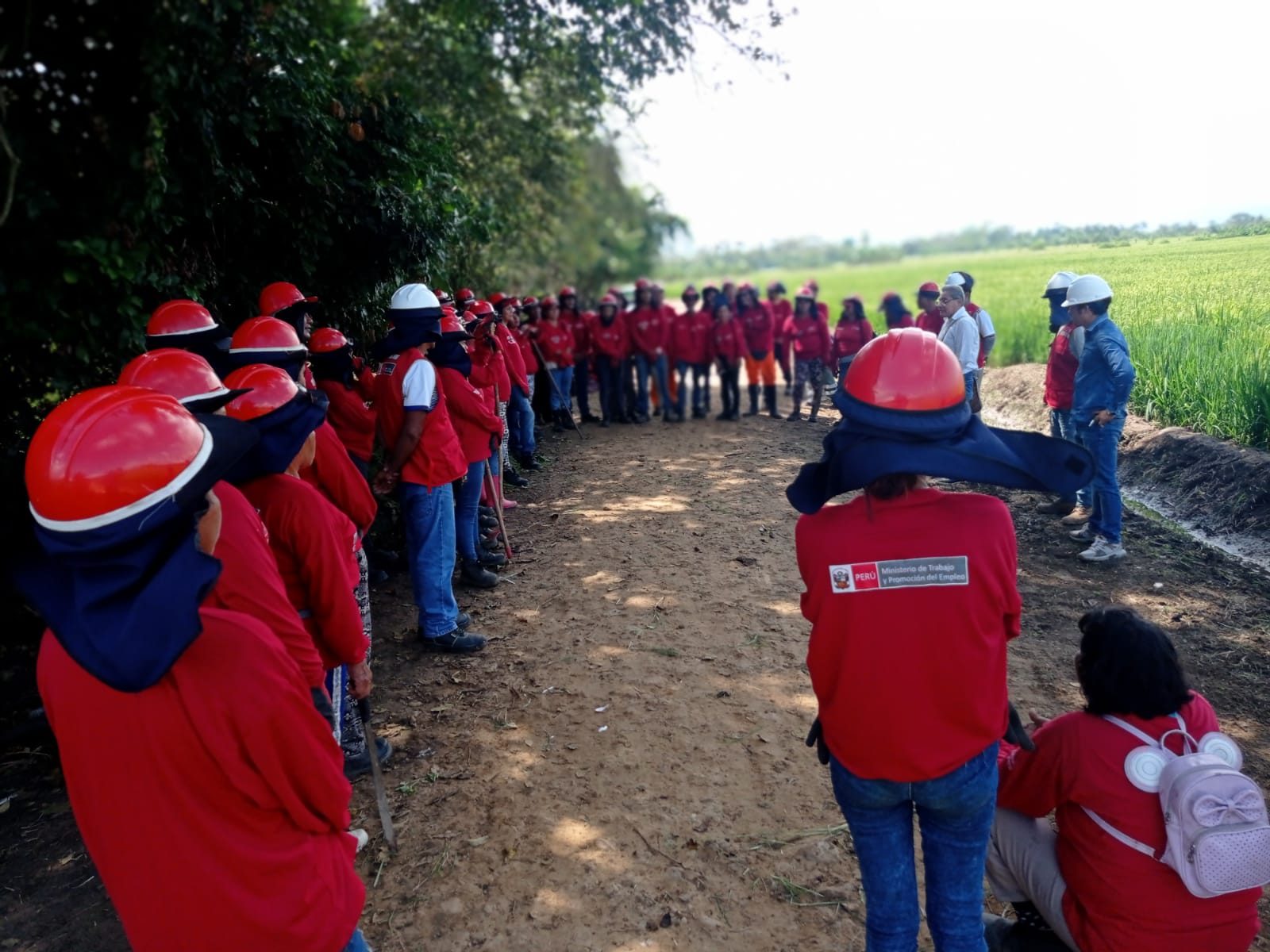 MUNICIPALIDAD DE MORALES Y "LLAMKASUN PERÚ" INICIARÁN EL 31 DE OCTUBRE PROCESO DE SELECCIÓN DE PARTICIPANTES PARA GENERAR EMPLEO TEMPORAL A 49 PERSONAS