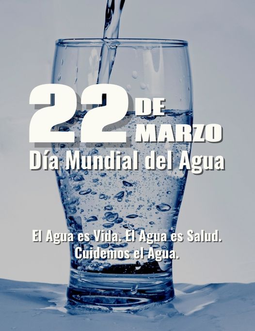 DÍA MUNDIAL DEL AGUA.