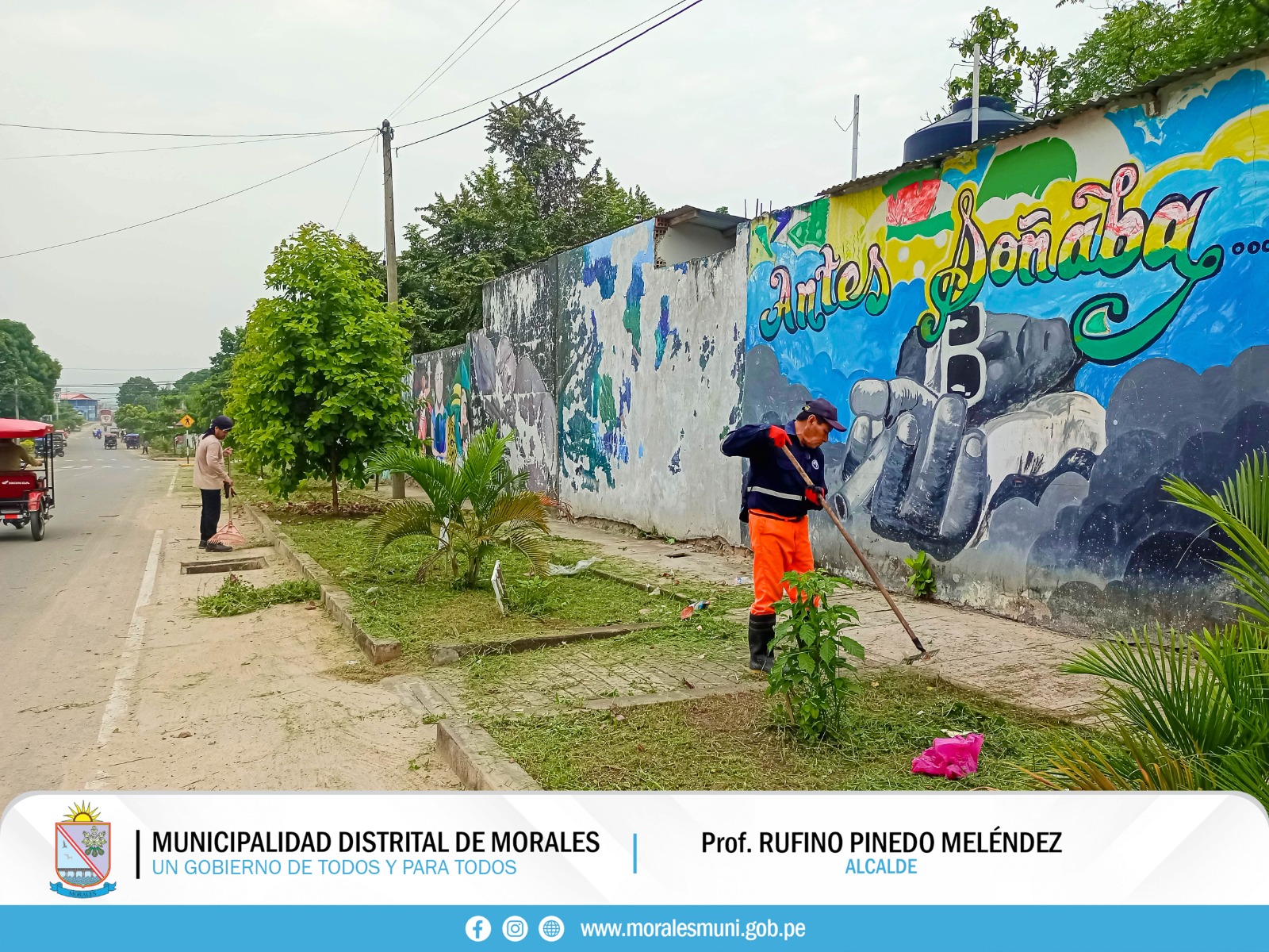 REALIZAN MANTENIMIENTO Y LIMPIEZA DE LAS ÁREAS VERDES EN DISTRITO DE MORALES.