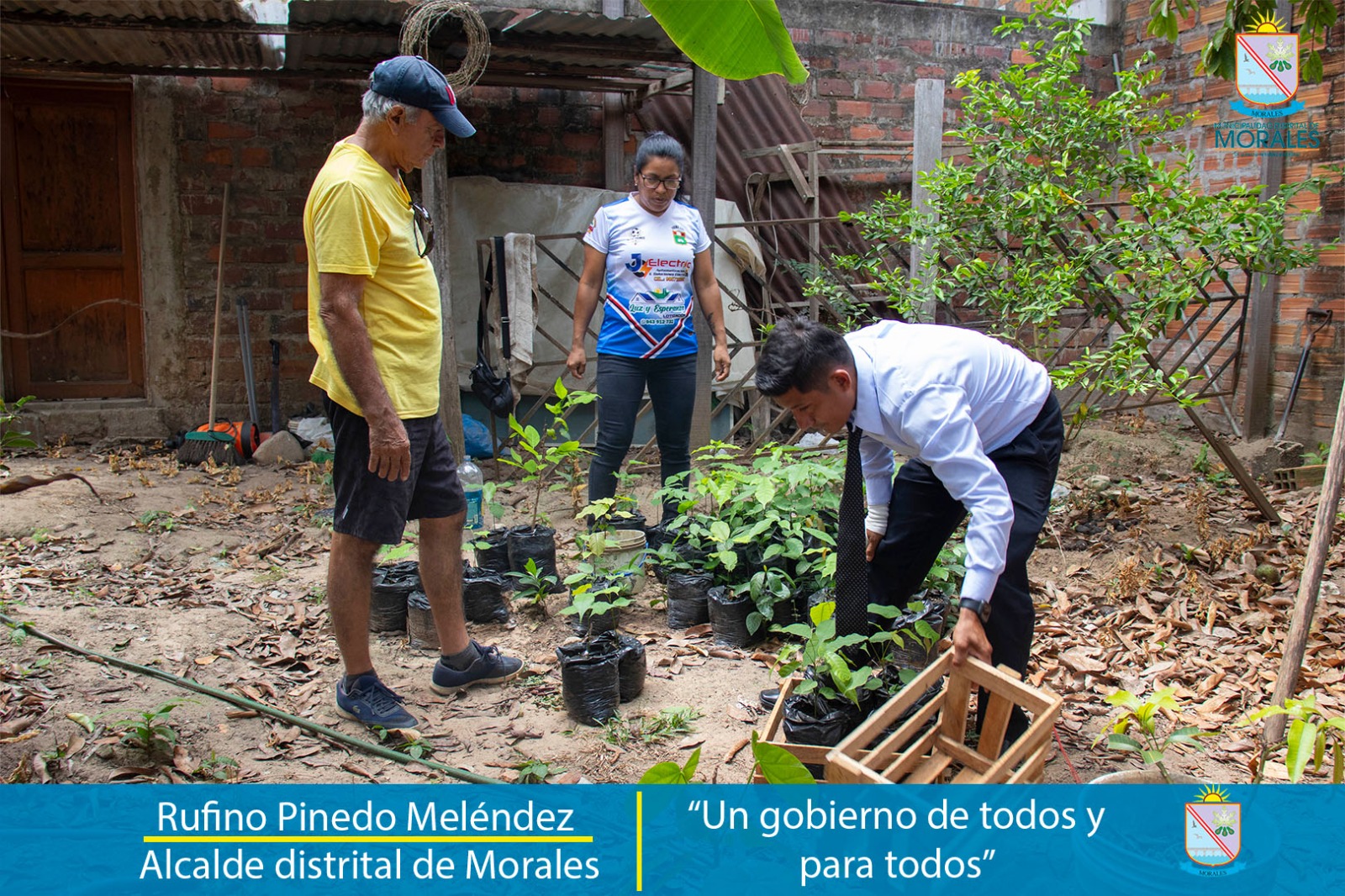 CIUDADANO APOYA CON ESPECIES FORESTALES A MUNICIPALIDAD DISTRITAL DE MORALES.  