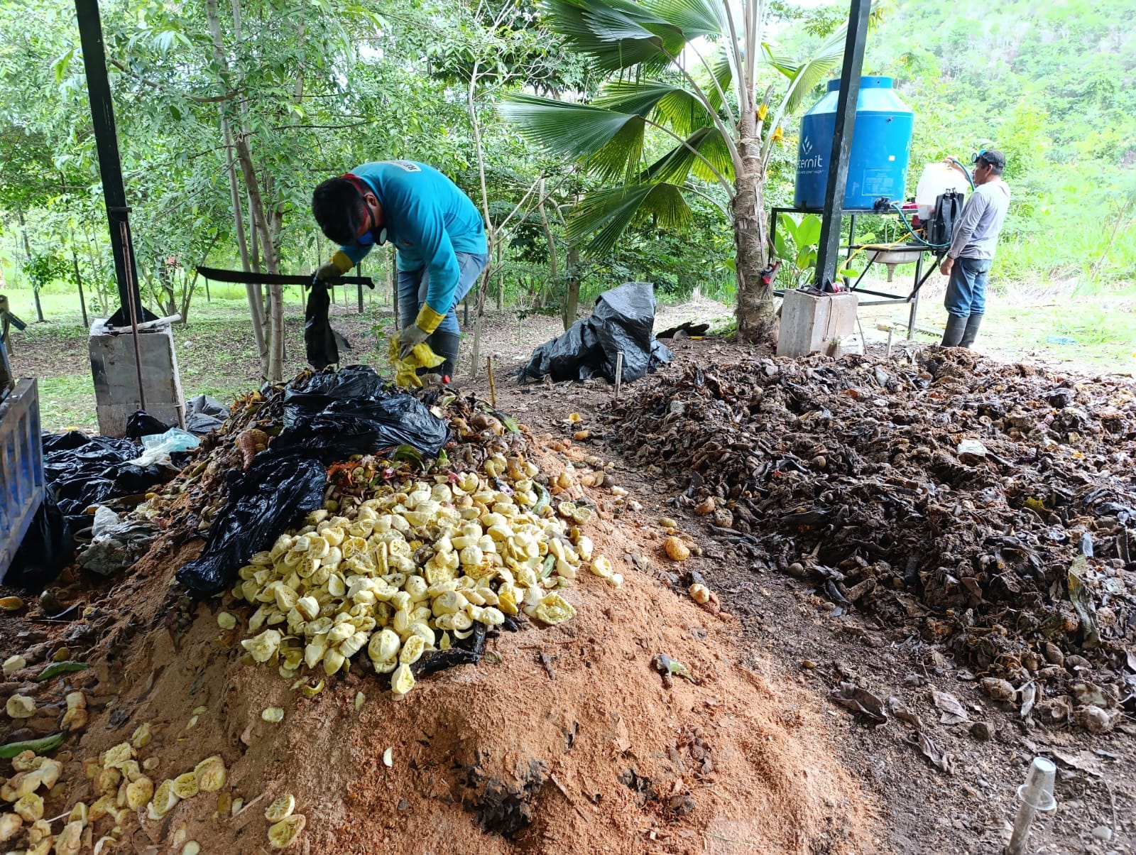 MUNICIPALIDAD DE MORALES PRODUCE COMPOST EN PLANTA DE VALORIZACIÓN DE MAYOPAMPA. 