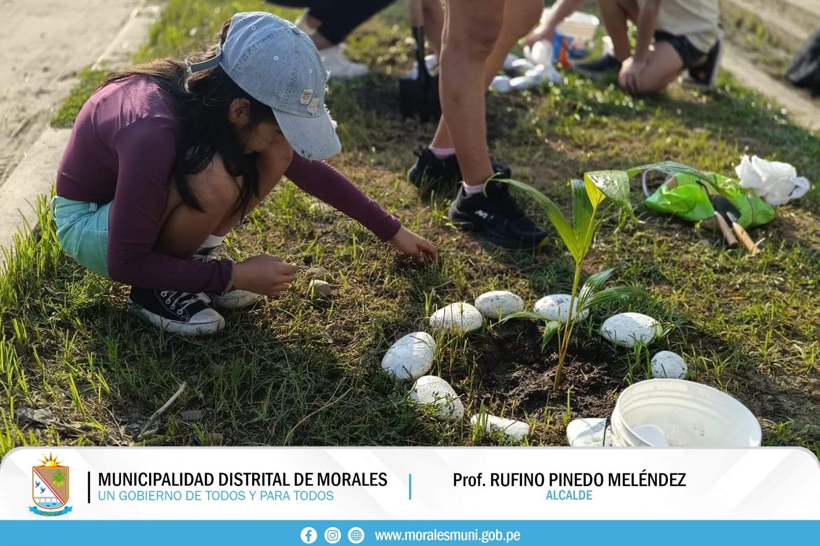 REALIZAN PROYECTO DE ARBORIZACION POR UN MORALES SOSTENIBLE